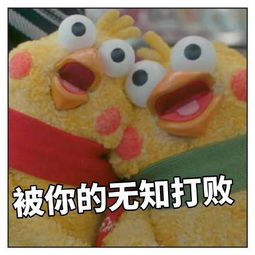 最近很火的鸡的表情包鹦鹉兄弟表情包大全