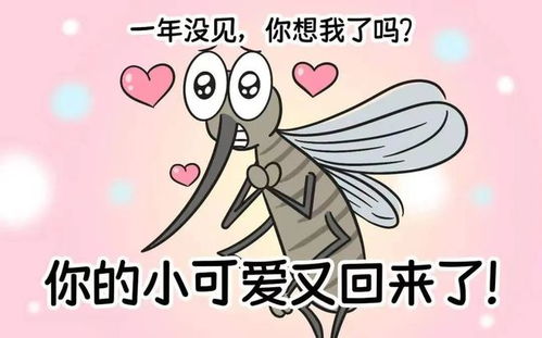 原来蚊子的最大克星不是蚊香其实驱蚊很简单,整晚开窗都不怕