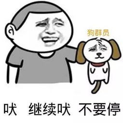 逗比表情包,妹纸,我和黄瓜同时掉水里你会救谁