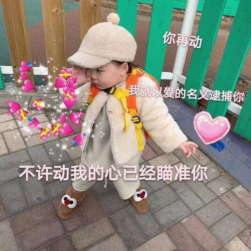 有没有罗熙怼人表情包