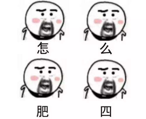 爱上一匹野马,但你的家里要有草原
