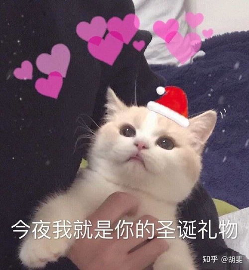 异地恋和网恋加在一起有多难