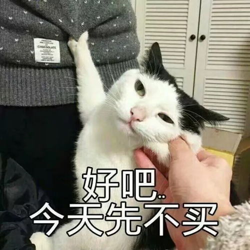 17级最强台风杀来了南昌未来几天天气你绝对猜不到结局