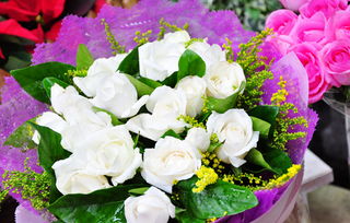 光棍节送花合适吗,光棍节送花好吗,光棍节送什么花