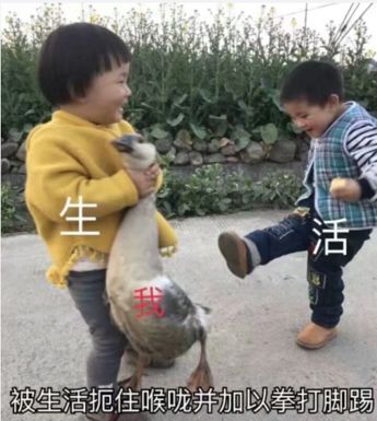 你该知道的最烧流量血泪史,看完膝盖疼得跪下了