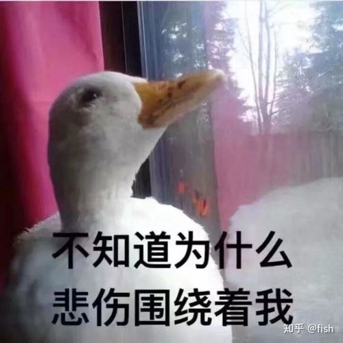 极乐密室剧本杀,测评