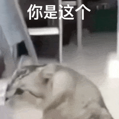 搞笑聊天表情包i你在教我做事啊