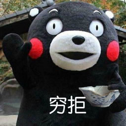 起点下载站每日更新一键转帖论坛ubb代码代码转换器