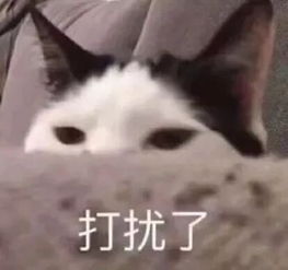 是你吗被寒假作业虐得,好酸爽