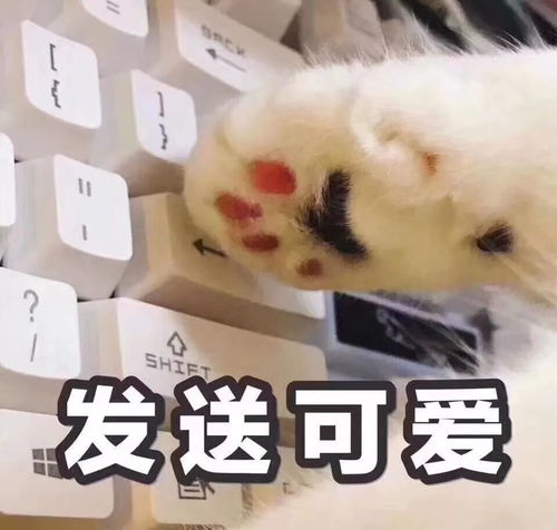 给你抱抱的表情包插排