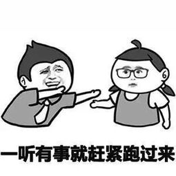 你还差一本御寒宝典斯威g01告诉您