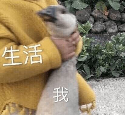 玻尿酸低价陷阱,套路太深了......