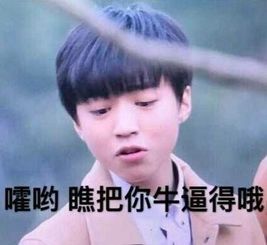 最新的王俊凯表情包16p还有这样的操作