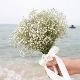 50岁淡雅头像微信花朵男人头像