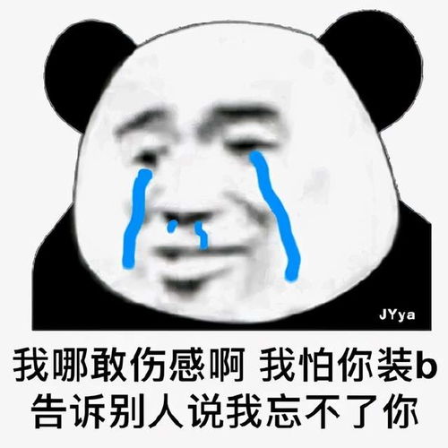 表情包上班狗疲惫的目光