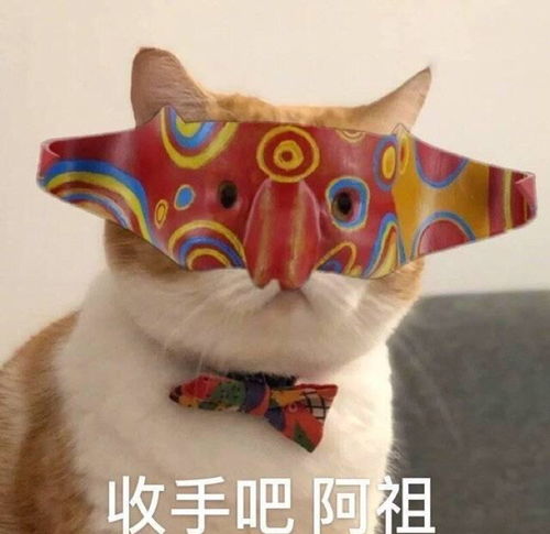 普京称美国是搬起石头砸自己的脚