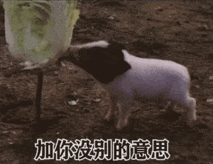 抖音表情包i要做一个干干净净的女孩子