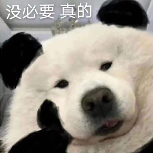 幽默笑话大哥一向自命不凡,年近三十了却连个女朋友都没有