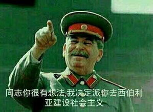 买脐橙表情包苏联