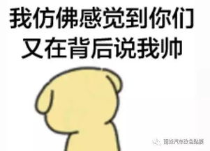 宝马523li车身改色贴膜电光棕灰