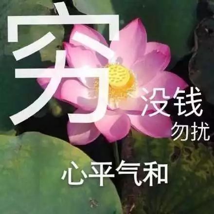 千万别跟男生讨论化妆品,他一开口就能让你笑到发狂