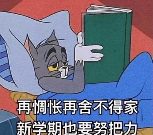 2870期公大人,您的新学期已到账