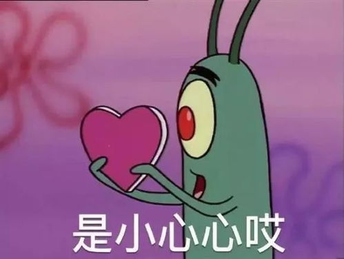 金鸡百花奖明日在佛山启动偶遇朱亚文刘昊然等超多明星