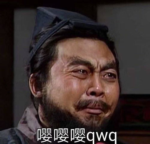 父亲的身影表情包张飞