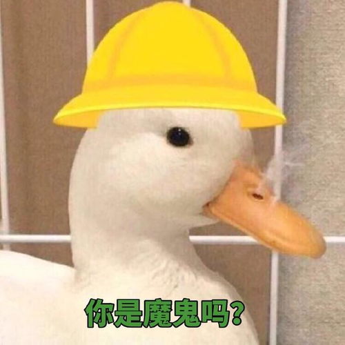 研究表明有些人天生就不适合谈恋爱