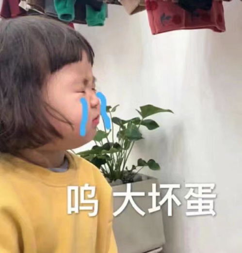 可爱表情包女孩罗熙