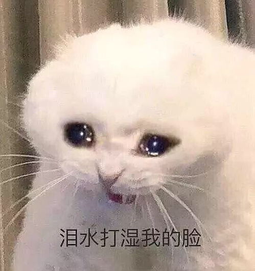 我他么心态崩了呀表情包这些