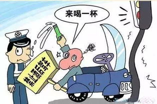 春节来了,爱车已经整装待发