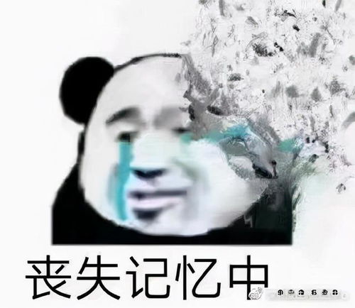 夜神月熊猫表情包搞笑