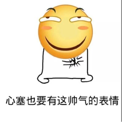 恐龙外套滑稽表情包好先生