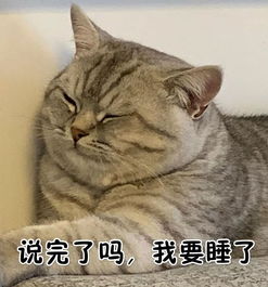 全新猫咪斗图表情包来啦