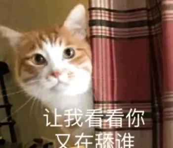 顶流男宝的献身瓜x146