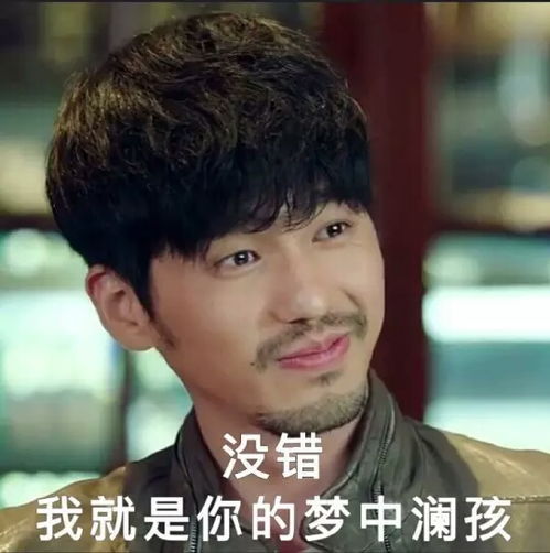 镇魂的表情包大部分是巍澜