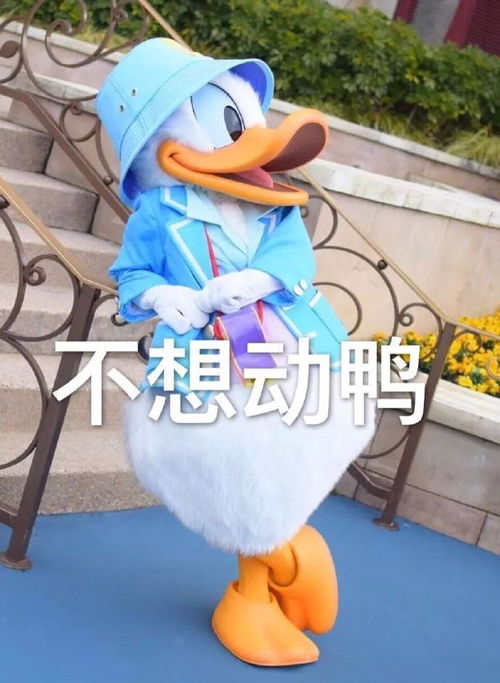 这里有您的一份撩妹攻略,请注意查收