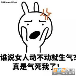 女人天生脾气大表情包我没有很生气就是要看你态度表情包下载乐游网游戏下载