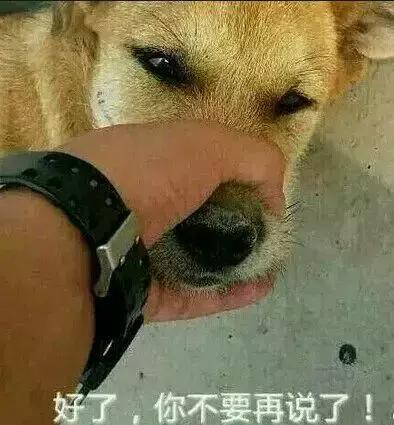 微信悠闲表情包是哪个狗男人
