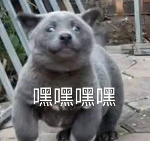 送你最新表情包图片,别生气了