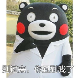 起点下载站每日更新一键转帖论坛ubb代码代码转换器