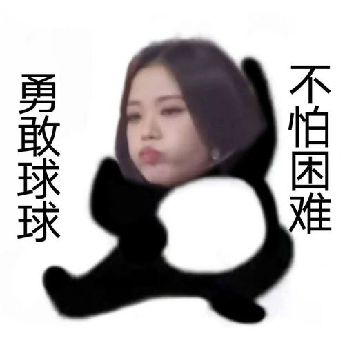 勇敢球球,不怕困难金智秀jisoo表情包