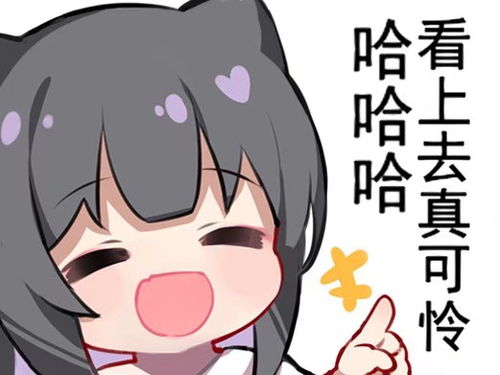 微信哔哩哔哩表情包可怜