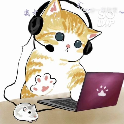 喵喵悲催作业记