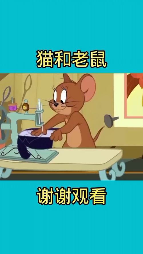 杰哥太帅了
