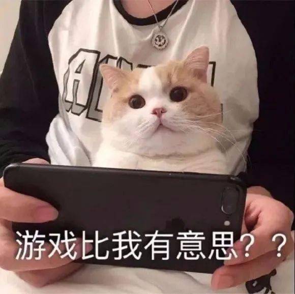 抖音热门表情包如何让你答应做我女朋友