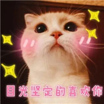 喜欢的表情包可爱丈母娘