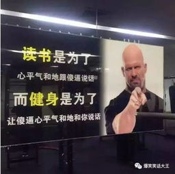 图片这图片亮点在哪里