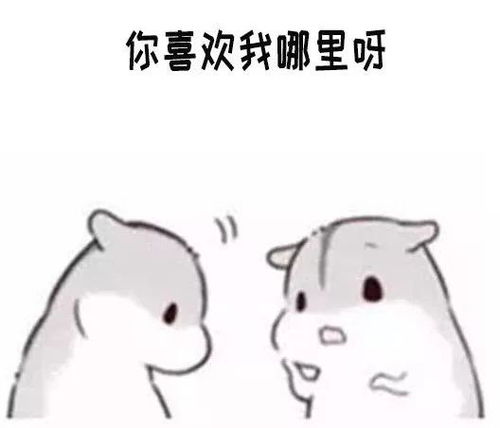 仓鼠表情包做我女朋友吧